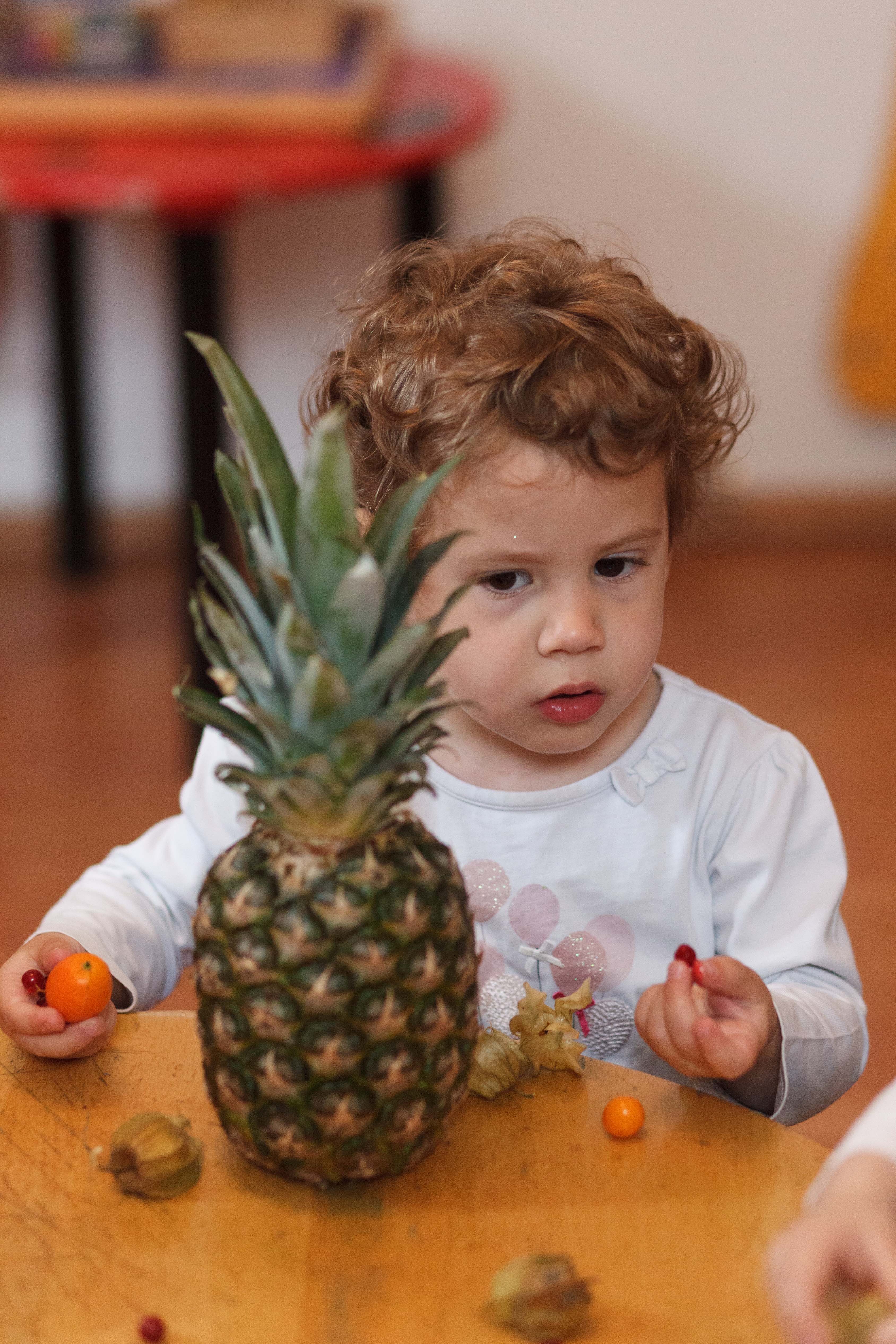 Ziua fructelor