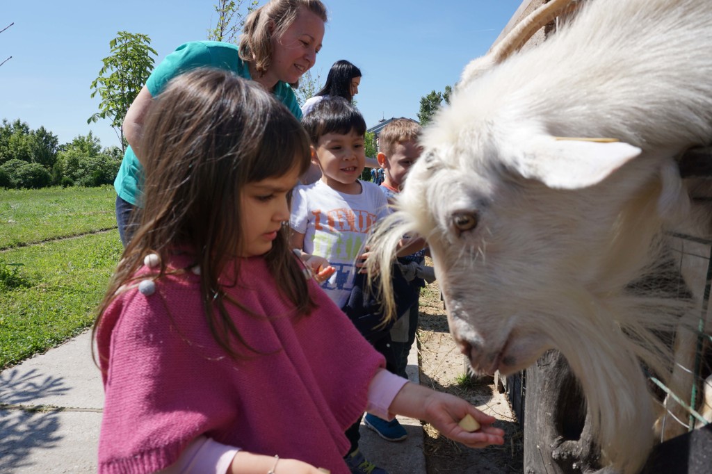 Acorns Nursery farm visit