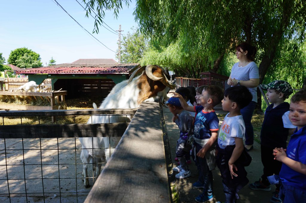 Acorns Nursery farm visit